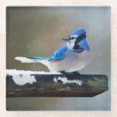 Blue Jay Painting - Original Bird Art Glasuntersetzer (Vorderseite)