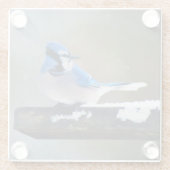 Blue Jay Painting - Original Bird Art Glasuntersetzer (Rückseite)
