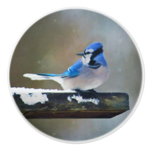 Blue Jay Painting - Original Bird Art Keramikknauf