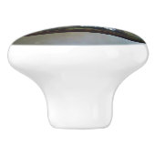 Blue Jay Painting - Original Bird Art Keramikknauf (Seitenansicht)