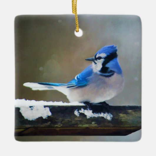 Blue Jay Painting - Original Bird Art Keramikornament (Vorderseite)