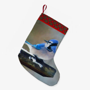 Blue Jay Painting - Original Bird Art Kleiner Weihnachtsstrumpf