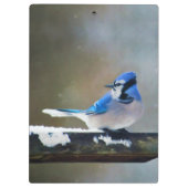 Blue Jay Painting - Original Bird Art Klemmbrett (Rückseite)