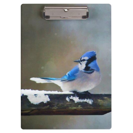 Blue Jay Painting - Original Bird Art Klemmbrett (Vorderseite)