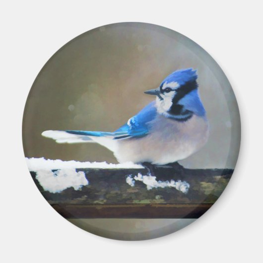 Blue Jay Painting - Original Bird Art Magnet (Vorne)