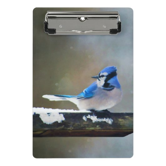 Blue Jay Painting - Original Bird Art Mini Klemmbrett (Vorderseite)