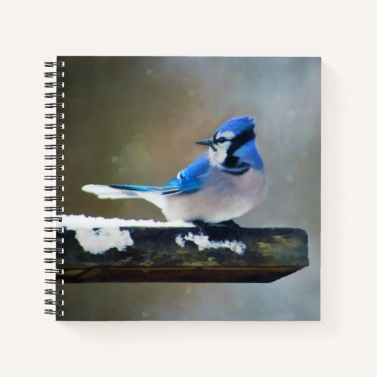 Blue Jay Painting - Original Bird Art Notizblock (Vorderseite)