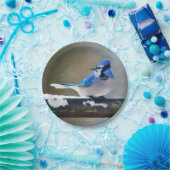 Blue Jay Painting - Original Bird Art Pappteller (Party)