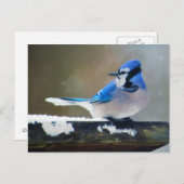 Blue Jay Painting - Original Bird Art Postkarte (Vorne/Hinten)