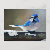 Blue Jay Painting - Original Bird Art Postkarte (Vorderseite)
