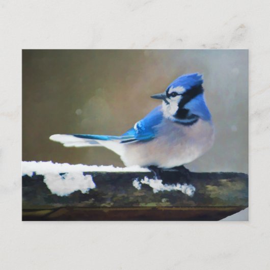 Blue Jay Painting - Original Bird Art Postkarte (Vorderseite)