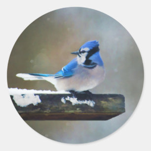 Blue Jay Painting - Original Bird Art Runder Aufkleber