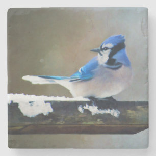 Blue Jay Painting - Original Bird Art Steinuntersetzer