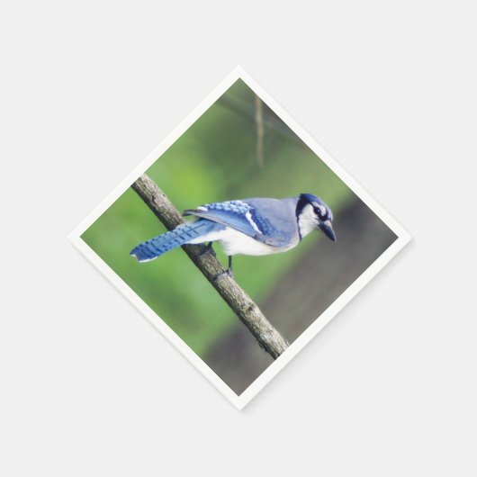 Blue Jay Paper Napkin Serviette (Ecke)