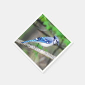 Blue Jay Paper Napkin Serviette (Ecke)