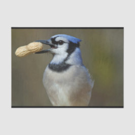 Blue Jay Peanut Seidenpapier