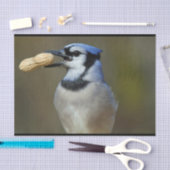 Blue Jay Peanut Seidenpapier (Handwerk)