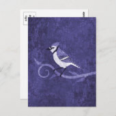 Blue Jay Postcard Postkarte (Vorne/Hinten)