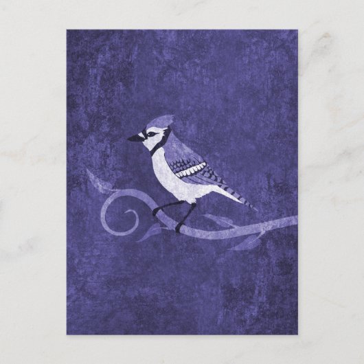 Blue Jay Postcard Postkarte (Vorderseite)