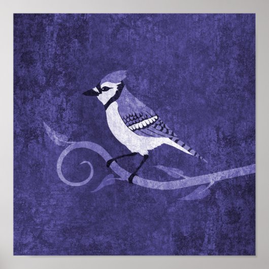 Blue Jay Poster (Vorne)