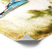 Blue Jay Poster (Ecke)