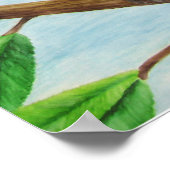 Blue Jay Poster (Ecke)