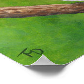 Blue Jay - Poster (Ecke)