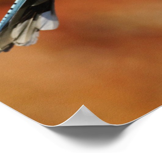 Blue Jay Poster (Ecke)