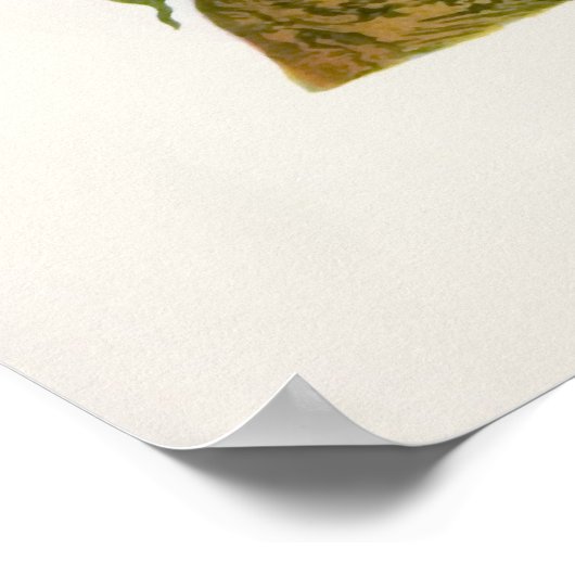 Blue Jay Poster (Ecke)