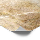 Blue Jay Poster (Ecke)