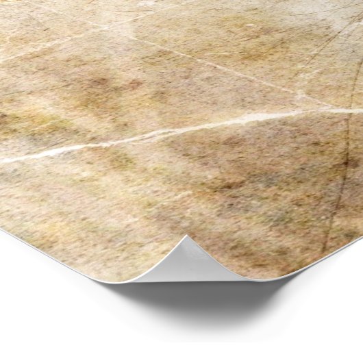 Blue Jay Poster (Ecke)