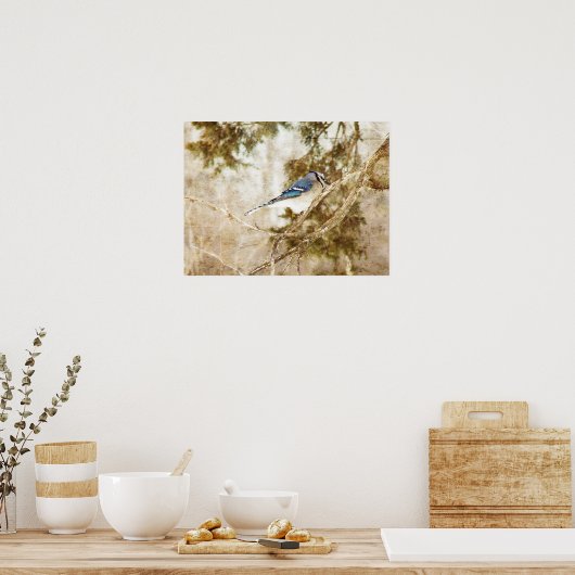 Blue Jay Poster (Küche)