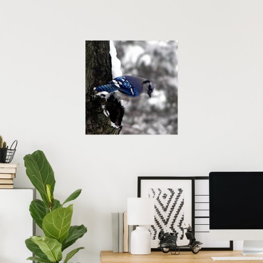 Blue Jay Poster / Print (Heimbüro)