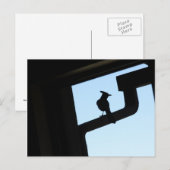 Blue Jay Postkarte (Vorne/Hinten)