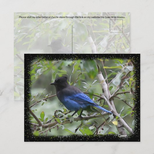Blue Jay - Postkarte (Vorne/Hinten)