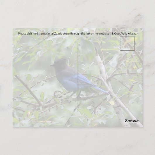 Blue Jay - Postkarte (Rückseite)