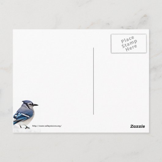 Blue Jay Postkarte (Rückseite)