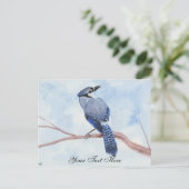 Blue Jay Postkarte (Stehend Vorderseite)
