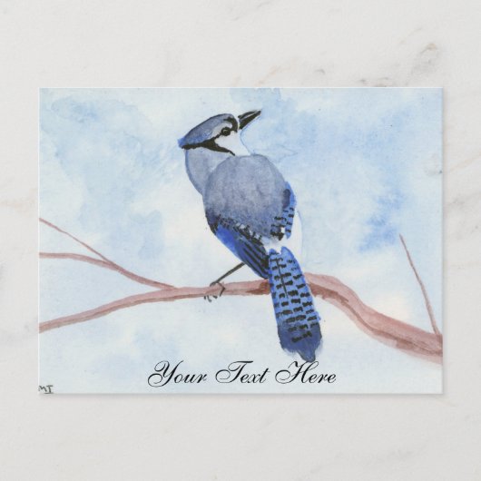 Blue Jay Postkarte (Vorderseite)