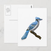 Blue Jay Postkarte (Vorne/Hinten)