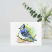 Blue Jay Postkarte (Stehend Vorderseite)