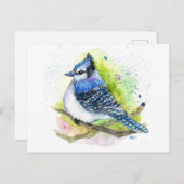 Blue Jay Postkarte (Vorne/Hinten)