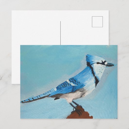 Blue Jay Postkarte (Vorne/Hinten)