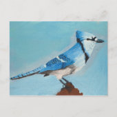 Blue Jay Postkarte (Vorderseite)