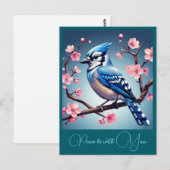" BLUE JAY " POSTKARTE (Vorne/Hinten)