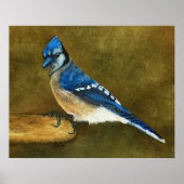 Blue Jay Print Poster (Vorne)