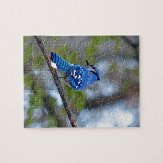 Blue Jay Puzzle (Horizontal)