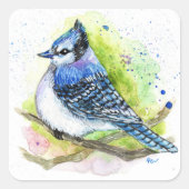 Blue Jay Quadratischer Aufkleber (Vorderseite)