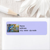 Blue Jay Rücksendeadressen-Aufkleber (Insitu)