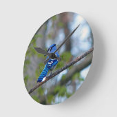 Blue Jay Runde Wanduhr (Winkel)